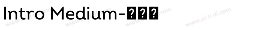 Intro Medium字体转换
